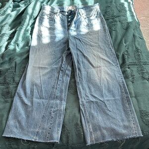 Everlane way-wide crop 28 regular